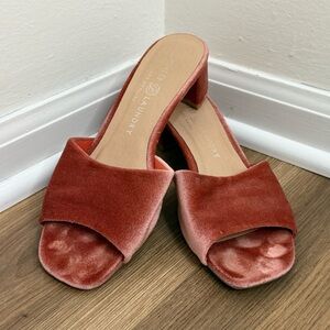 Chinese Laundry Women's Rose Velvet Slide Sandals